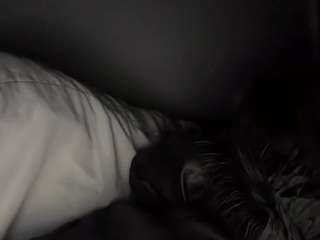 zahrabliss Live Webcam on CamSoda