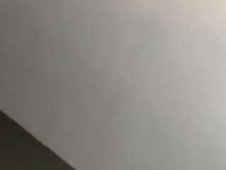 PregoMa