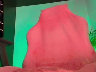 palo-santo06 webcam