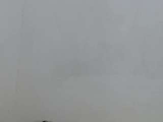 salome-blondie8 Live Webcam on CamSoda