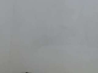 salome-blondie8 webcam