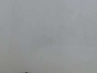 salome-blondie8 webcam