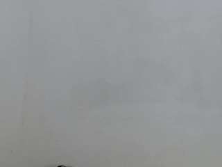 salome-blondie8