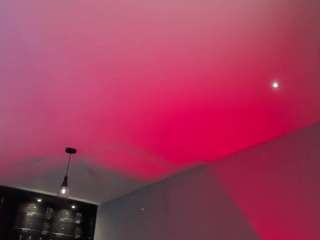 sophiehouston1
