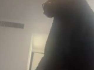 nephew98 Live Webcam on CamSoda