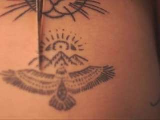 Live webcam model dollylovs on Soda Cams