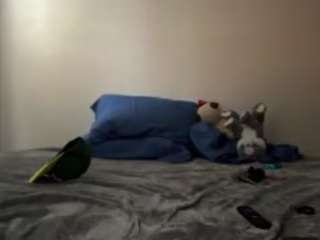 ejnyc4646 webcam model