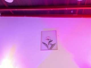 isabellacruz1 Live Webcam on CamSoda