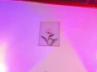 isabellacruz1 webcam