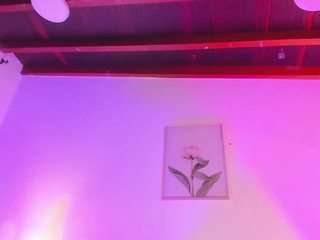 isabellacruz1 webcam