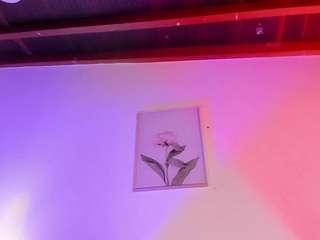 isabellacruz1 webcam