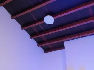 IsabellaCruz1's Live Sex Cam Show