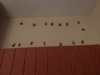 barbiie-98 Live Webcam on CamSoda