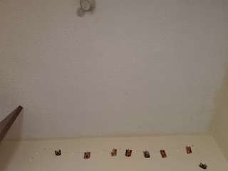 barbiie-98 Live Webcam on CamSoda