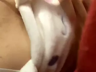 EmmaParabellumsss's Live Sex Cam Show