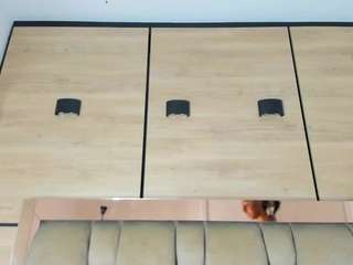 karol-lewiss's CamSoda show and profile