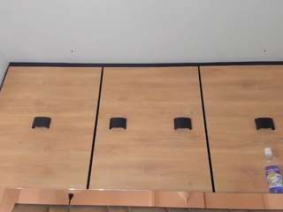 karol-lewiss webcam model