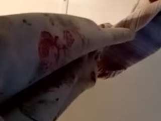 thatninjag0 Live Webcam on CamSoda thatninjag0 Live Webcam on CamSoda