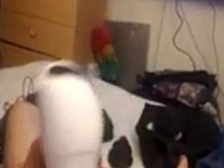 malemadison