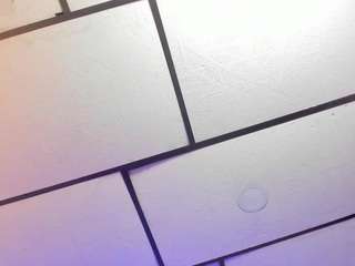 malxttss