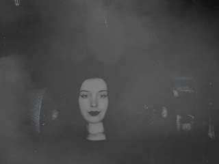 thedaria