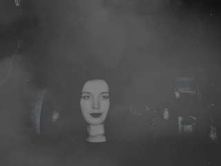 thedaria