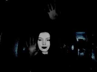 thedaria