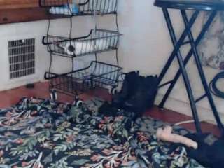 sinchip live webcam show