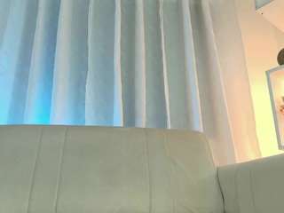 stormsnow webcam model