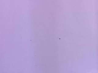 lunaa-jonhsonn's live room