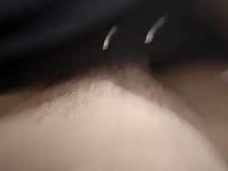 HOTxy1