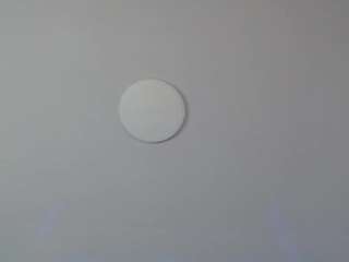 vickysweett webcam
