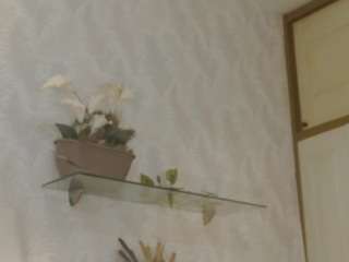 camilaawild from CamSoda is Freechat