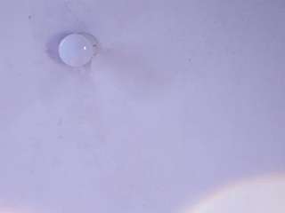 kandyy-brown