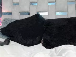 Liilith-Thompson's Live Sex Cam Show