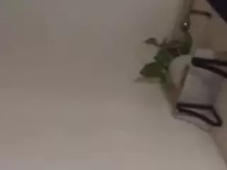 animekitty69Cheese's Live Sex Cam Show