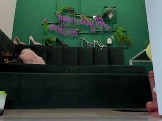 Katcatt