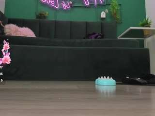 katcatt