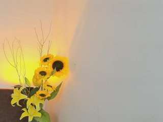 kryssttalll live cam profile