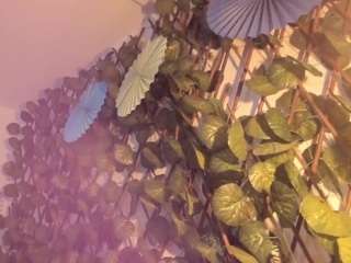 saraxcampur