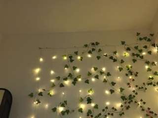 Candy-Flosse live cam preview