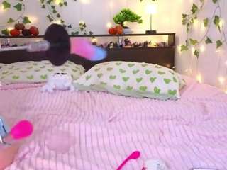 candy-flosse