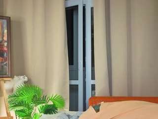 chelseaheritage webcam