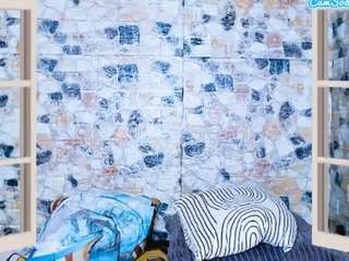 indianstar754u2 webcam model