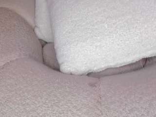 cuttehanna18 webcam