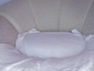 cuttehanna18 webcam