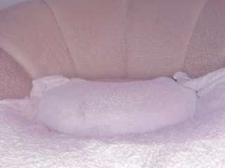 cuttehanna18