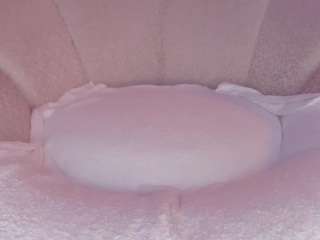 cuttehanna18 webcam