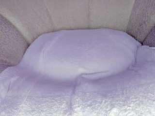 cuttehanna18 webcam