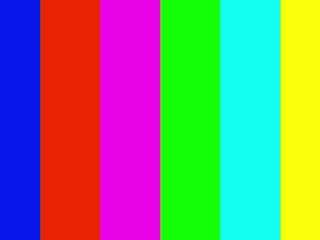 peacecharlton webcam